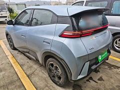 BYD Seagull Glory Edition 305km Freedom Version - photo 4