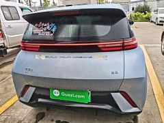 BYD Seagull Glory Edition 305km Freedom Version - photo 5