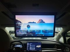 Denza D9 DM-i 1050 Premium - ფოტო 13