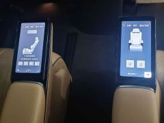 Denza D9 DM-i 1050 Premium - ფოტო 19