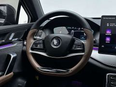 BYD Tang New Energy DM-i 112KM Premium Edition - photo 10