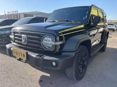 Tank 300 Off-Road Edition 2.0T Conqueror - photo 1