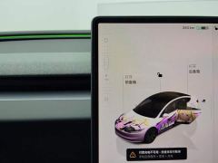 Tesla Model 3 Rear-Wheel Drive - ფოტო 16