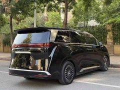 Denza D9 DM-i 980 Four-Wheel Drive Flagship - photo 9