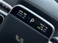 Li Auto L9 Max - ფოტო 16