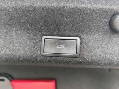 Volkswagen Magotan 2 Million Units Commemorative Edition 330TSI DSG Luxury - photo 8
