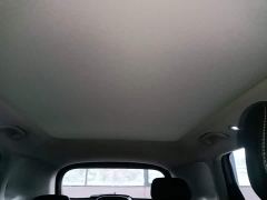 BYD Sealion 05 EV 520KM Smart Navigation Edition - ფოტო 17