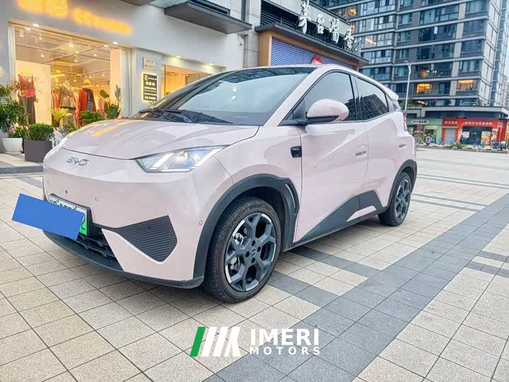 BYD Seagull Smart Driving Edition 305km Freedom Edition - ავტომობილი ჩინეთიდან