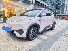 BYD Seagull Smart Driving Edition 305km Freedom Edition - ფოტო 1