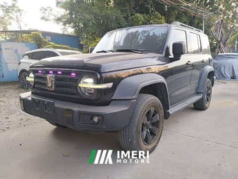2022 Tank 300 Off-Road Edition 2.0T Challenger - ავტომობილი ჩინეთიდან