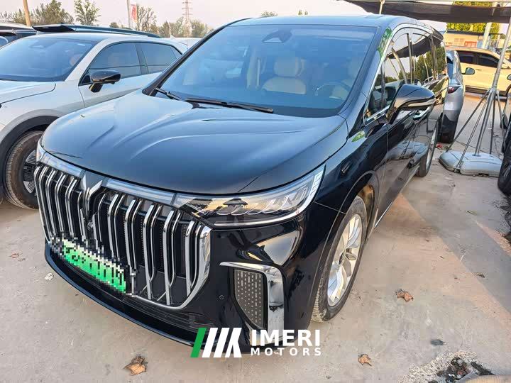 Voyah Dream PHEV Extended Range Luxury Edition - ავტომობილი ჩინეთიდან