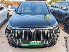 Voyah Dream PHEV Extended Range Luxury Edition - ფოტო 2