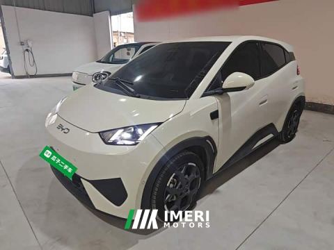 2025 BYD Seagull Smart Driving Edition 305km Freedom Edition - ავტომობილი ჩინეთიდან