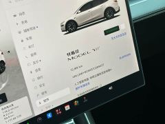 Tesla Model Y L Long Range All-Wheel Drive - ფოტო 16