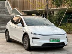 Tesla Model Y L Long Range All-Wheel Drive - ფოტო 3