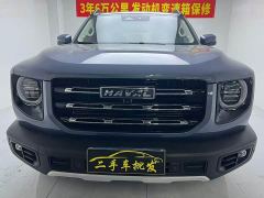 Great Wall Dachshund 1.5T DCT Two-Wheel Drive Border Collie-Wangcai Edition - photo 1