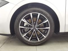 SAIC MG D7 DMH 125km World Champion Excellence Edition - photo 17