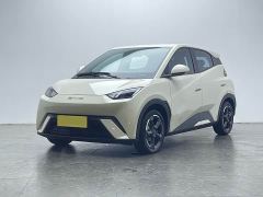 BYD Seagull Glory Edition 305km Freedom Version - ფოტო 1