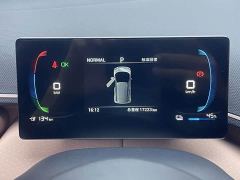 BYD Seagull Glory Edition 305km Freedom Version - ფოტო 14
