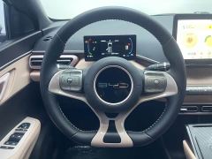 BYD Seagull Glory Edition 305km Freedom Version - ფოტო 16