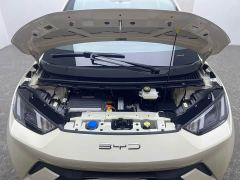 BYD Seagull Glory Edition 305km Freedom Version - ფოტო 17