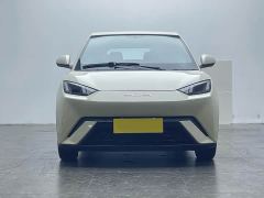 BYD Seagull Glory Edition 305km Freedom Version - ფოტო 2
