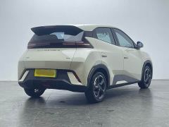 BYD Seagull Glory Edition 305km Freedom Version - ფოტო 3