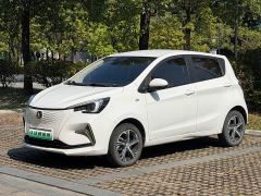 Changan Benben E-Star Heartbeat Edition Ternary Lithium - ფოტო 1
