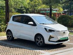 Changan Benben E-Star Heartbeat Edition Ternary Lithium - ფოტო 3