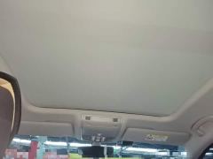 Volkswagen Magotan 2 Million Units Commemorative Edition 330TSI DSG Leading Version - photo 17