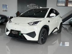 BYD Seagull 405km Flight Edition - ფოტო 1