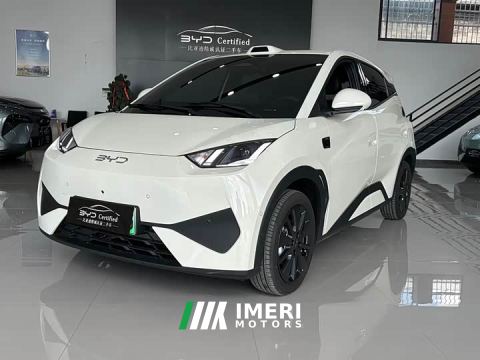 2026 BYD Seagull 405km Flight Edition - ავტომობილი ჩინეთიდან