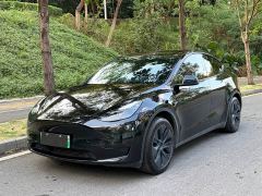 Tesla Model Y Rear-Wheel Drive - фото 1