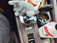 Geely Xingyue L Oriental Radiance 2.0T Auto Star Collection Edition - photo 10