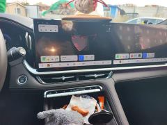Geely Xingyue L Oriental Radiance 2.0T Auto Star Collection Edition - photo 9