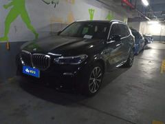 BMW X5 New Energy (Imported) Facelift xDrive45e M Sport Package - photo 1