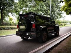 Tank 300 Off-Road Edition 2.0T Conqueror - ფოტო 5