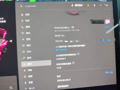 Tesla Model 3 Facelift Standard Range RWD Upgrade 3D1 - ფოტო 11