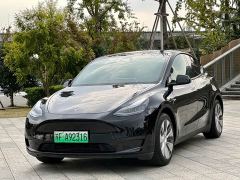 Tesla Model Y Rear-Wheel Drive - ფოტო 1