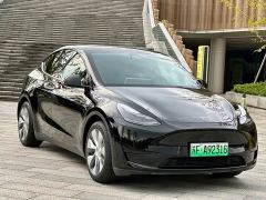 Tesla Model Y Rear-Wheel Drive - ფოტო 3