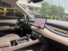 BYD Yuan Plus Glory Edition 430KM Transcend - ფოტო 9