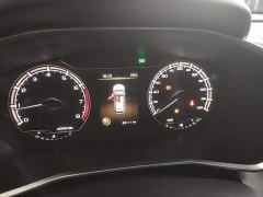 Geely Bingyue 1.4T DCT Platinum Edition - photo 11