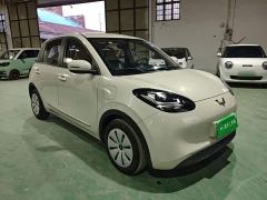 Wuling Binguo 203km Light Enjoy Edition - photo 3
