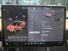 Tesla Model Y Rear-Wheel Drive - ფოტო 5