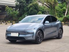 Tesla Model Y Long Range All-Wheel Drive - ფოტო 1
