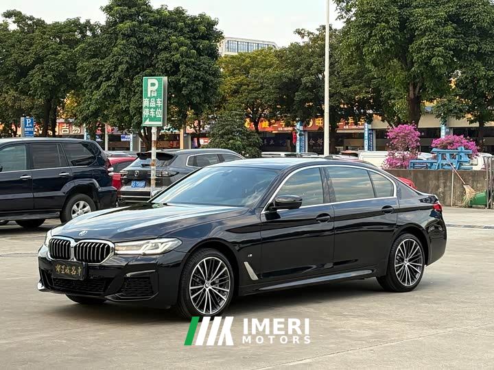 BMW 5 Series 530Li Premier M Sport Package - автомобиль из Китая