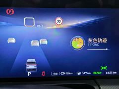 Buick GL8 New Energy Lusang Respect Edition - photo 15