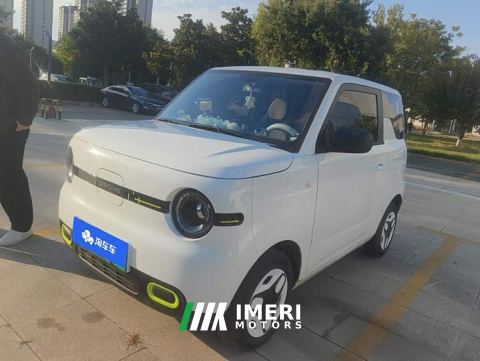 2026 Geely Panda Mini 210km Vitality Edition - car from China