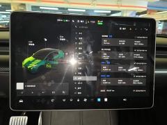 Tesla Model Y High Performance All-Wheel Drive - фото 11