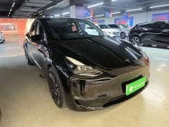 Tesla Model Y High Performance All-Wheel Drive - фото 3